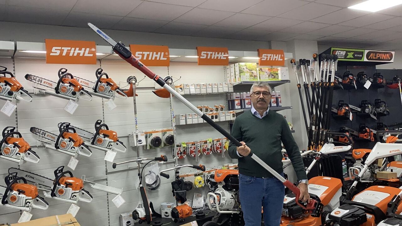 Ceviz Ağaçlarında Budama