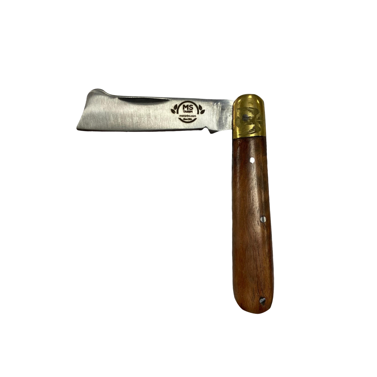 MS5 Göz Aşı Bıçağı