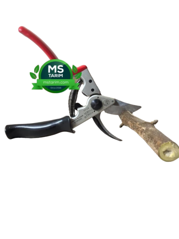 King Tiger KT-14 ByPass Budama Makası