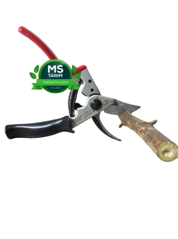 King Tiger KT-14 ByPass Budama Makası