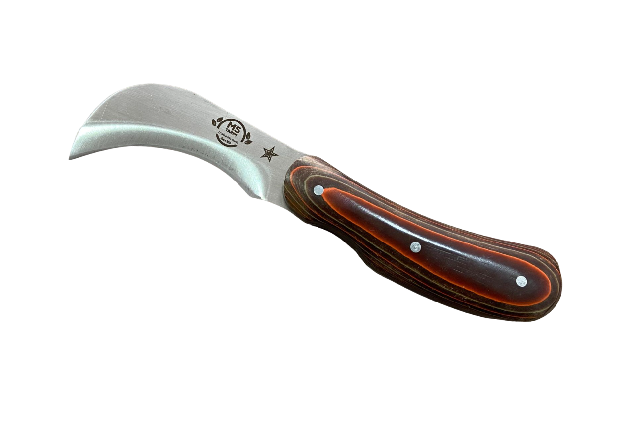 MS010 Sabit Sap Kalem Aşı Bıçağı