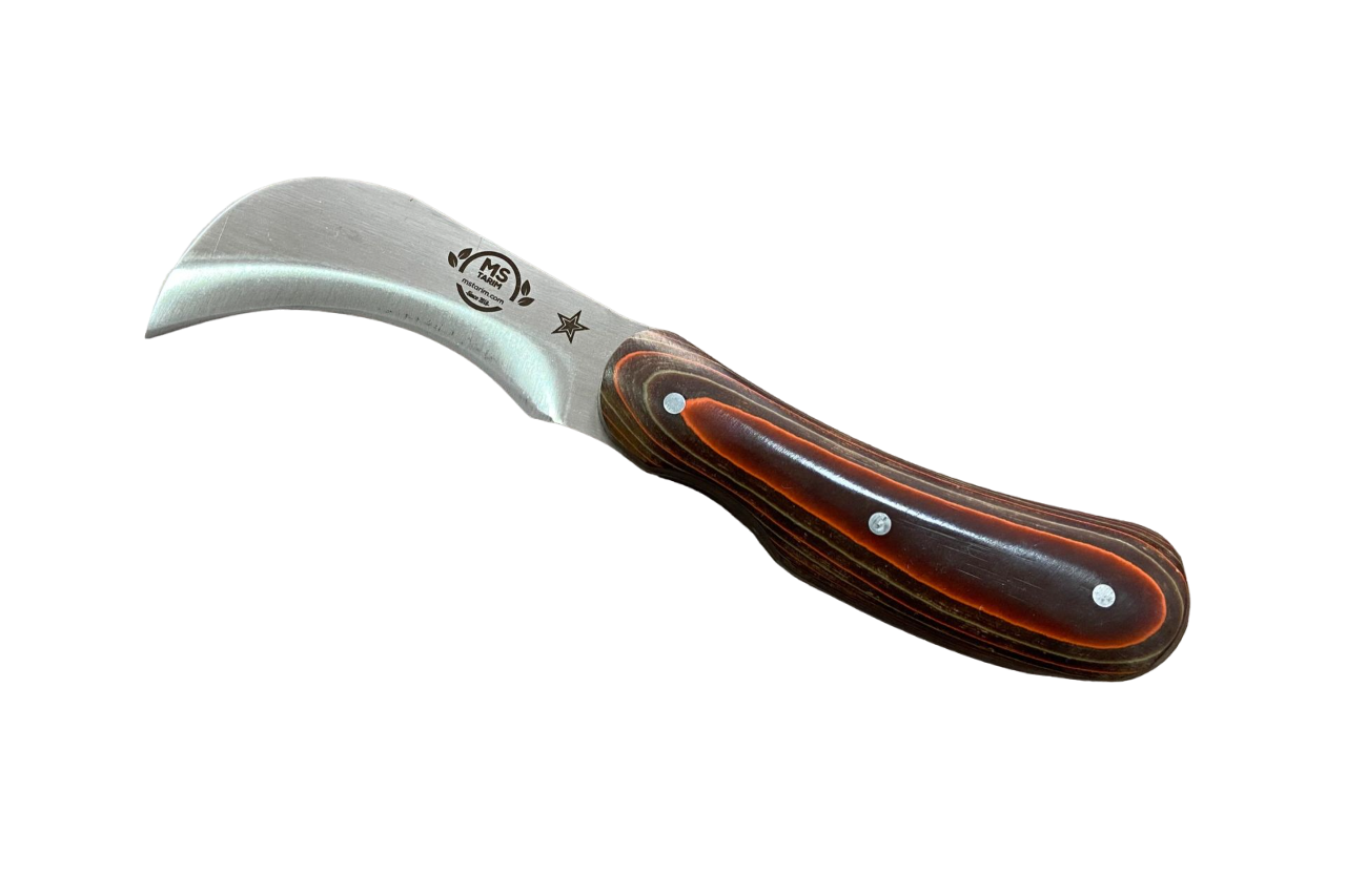 MS010 Sabit Sap Kalem Aşı Bıçağı