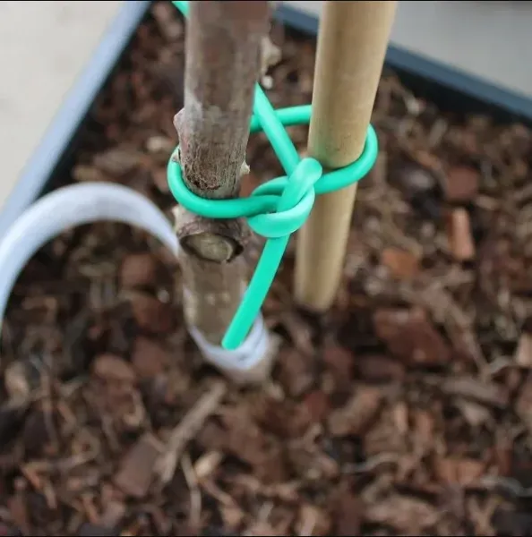 Aşı ve Fidan Bağlama İpi 1 Top