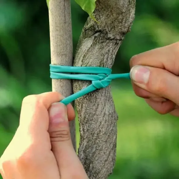 Aşı ve Fidan Bağlama İpi 1 Top