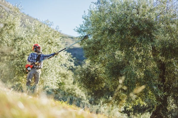 ECHO PPT-2620ES BENZİNLİ YÜKSEK DAL BUDAMA TESTERESİ