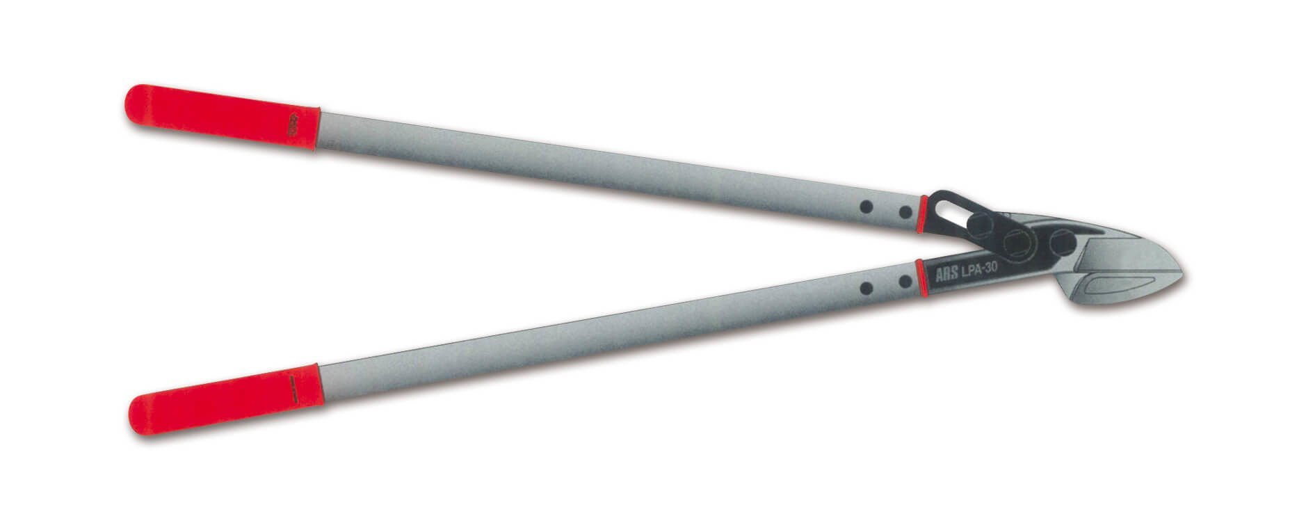 ARS LPA-30L KALIN DAL BUDAMA MAKASI