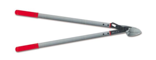 ARS LPA-30L KALIN DAL BUDAMA MAKASI