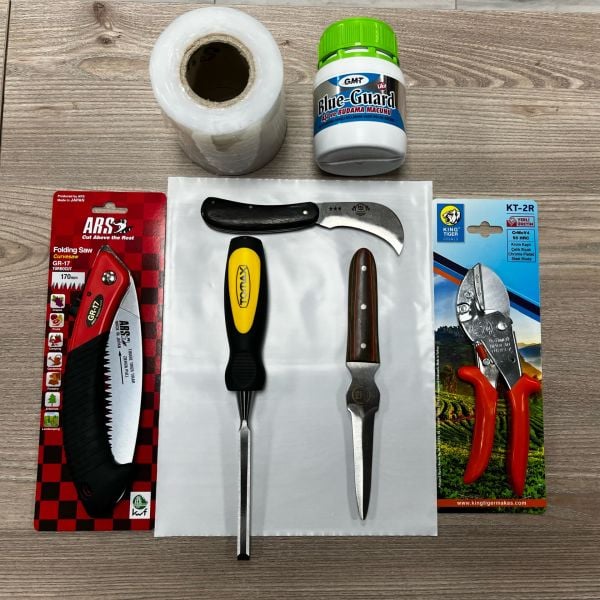 MS01 KALEM AŞI SETİ