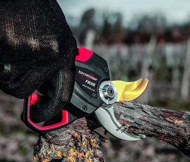 Budama Ustaları İçin Profesyonel Budama Ekipmanları