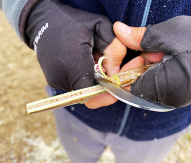 Aşı Ustaları İçin Profesyonel Aşı Bıçakları